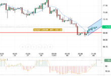 CRUDE OIL