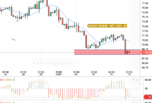 CRUDE OIL