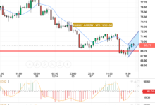 CRUDE OIL