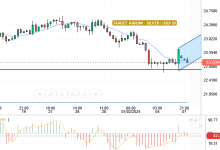 قدم سعر الفضة / دولار