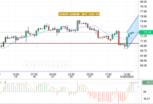 WTI/USD