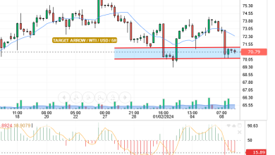 CRUDE OIL