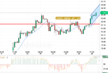 WTI/USD