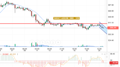 BNB / USD