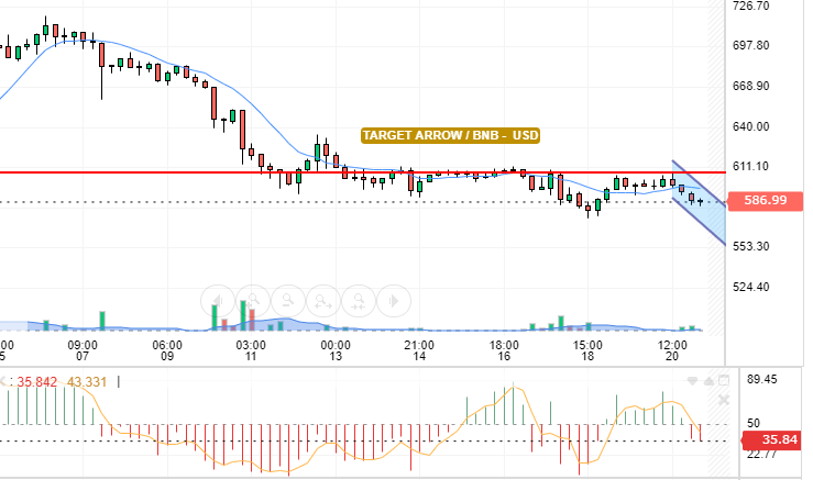 BNB / USD