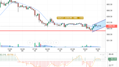 BNB / USD