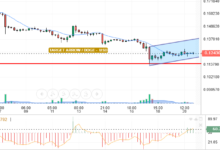 DOGE / USD