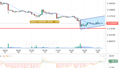 DOGE / USD