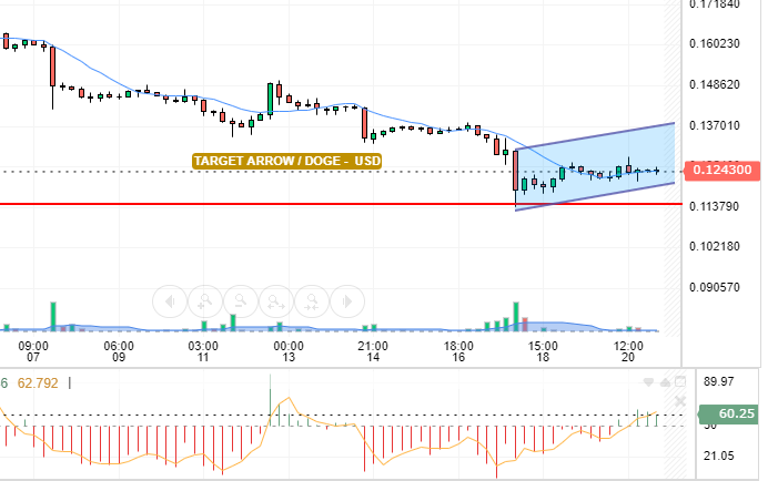 DOGE / USD