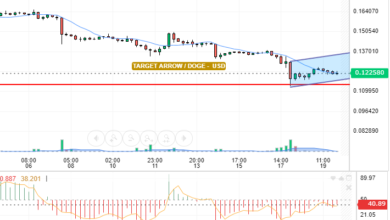 DOGE / USD