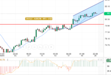 WTI / USD