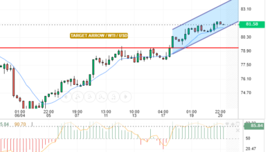 WTI / USD