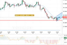 التحليل التقني الفضه / الدولار الامريكي