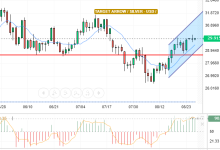 التحليل التقني الفضه /الدولار الامريكي