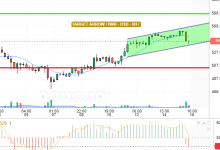 BNB / USD