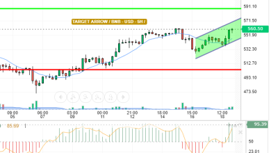 BNB / USD