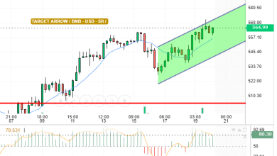 BNB / USD