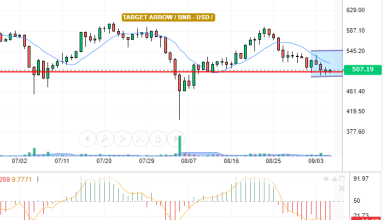 BNB / USD