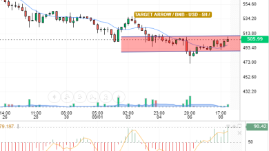 BNB / USD