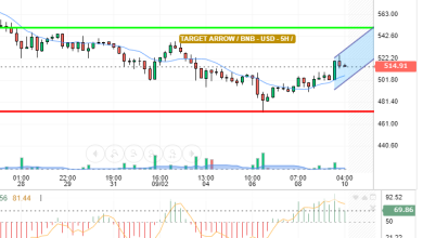 BNB / USD