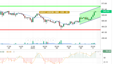 BNB / USD