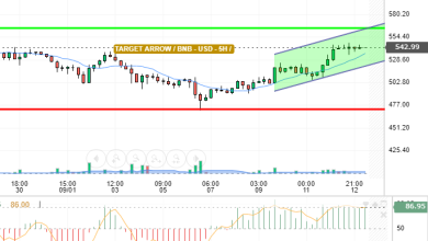 BNB / USD