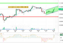 DOGE / USD