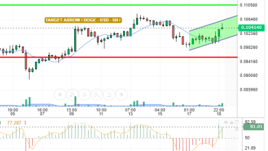 DOGE / USD