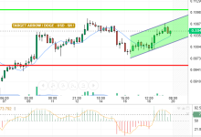 DOGE / USD