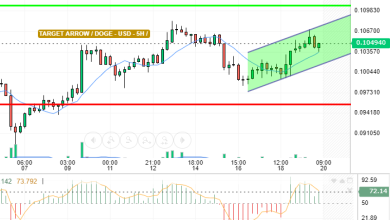 DOGE / USD