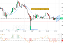 DOGE / USD