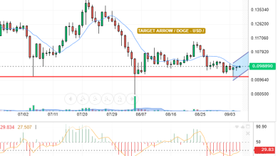 DOGE / USD