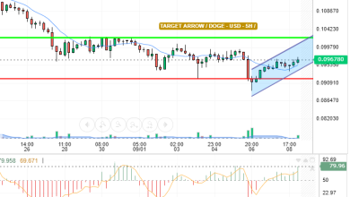 DOGE / USD