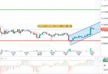 DOGE / USD