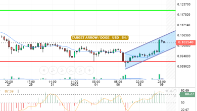 DOGE / USD