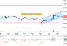 DOGE / USD