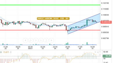 DOGE / USD