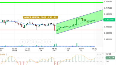 DOGE / USD