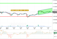 DOGE / USD