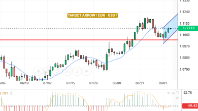 EUR / USD