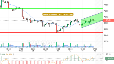 WTI / USD