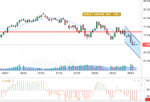 WTI / USD