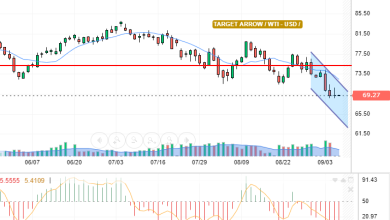 WTI / USD