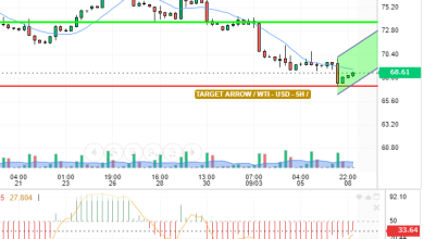 WTI / USD