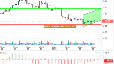 WTI / USD