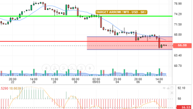 WTI / USD