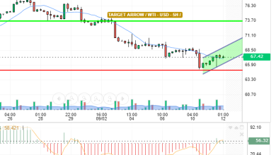 WTI / USD