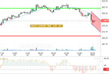 BNB / USD