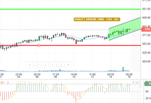 BNB / USD