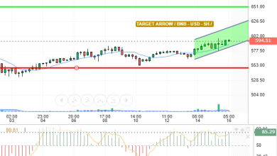 BNB / USD